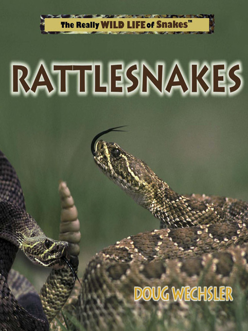 Title details for Rattlesnakes by Doug Wechsler - Available